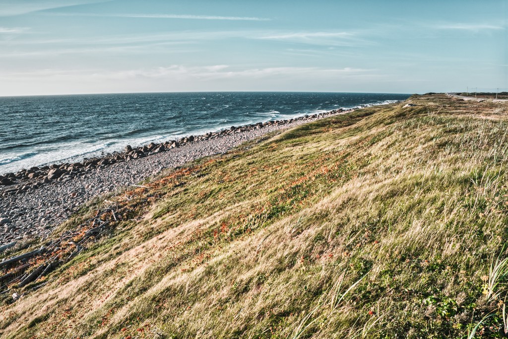 Windswept, Highway 430, The Viking Trail, River of Ponds, Newfoundland, Canada