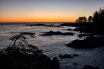 Serenity, Amphitrite Point, Wild Pacific Trail, Ucluelet, Vancouver Island, British Columbia, Canada