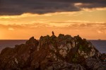 Vigilant Bald Eagle, Wild Pacific Trail, Ucluelet, Vancovuer Island, British Columbia, Canada