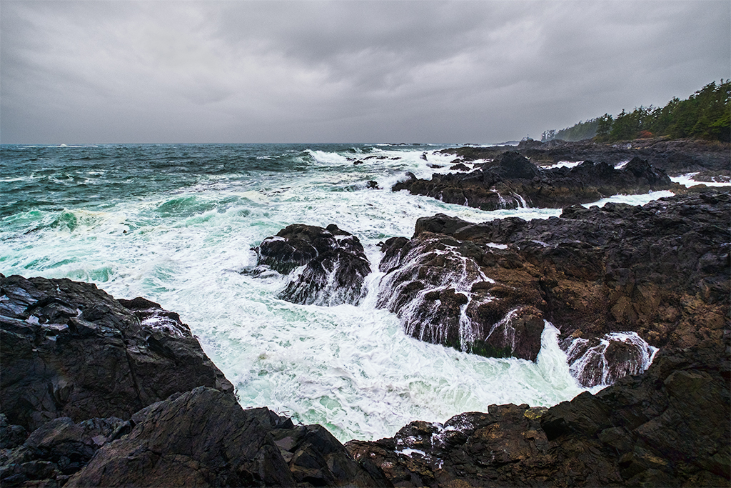 Wild Pacific, Wild Pacific Trail, Ucluelet, Vancouver Island, British Columbia, Canada