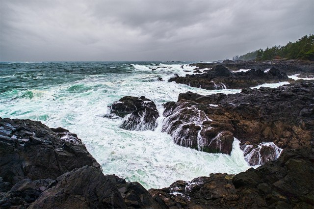 Wild Pacific, Wild Pacific Trail, Ucluelet, Vancouver Island, British Columbia, Canada